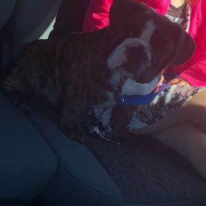 Meet your Posher, Donna